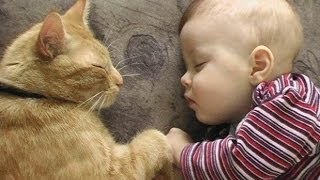 Cats Love Babies  PART 2 [upl. by Edy]