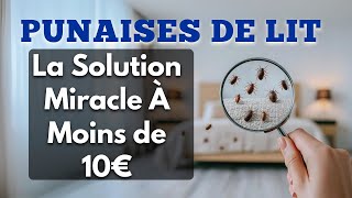 Punaises de Lit  La Solution Miracle À Moins de 10€ [upl. by Ahsinyt]