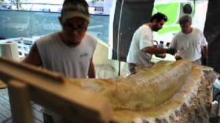 Preserving a 327pound alligator gar [upl. by Aydne]