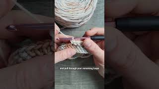 Stitch Tutorial Herringbone Half Double Crochet hhdc [upl. by Assilana]