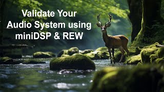 Using miniDSP Device Console and REW to Verify Basic System Setup [upl. by Suivatna651]