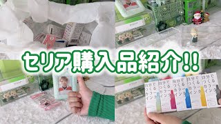 【購入品紹介】セリア購入品紹介です！やっと見つけた商品あり！ [upl. by Funch]