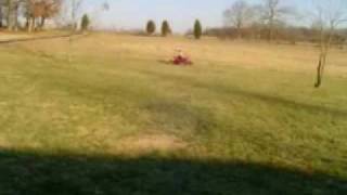 50cc Mini Buggy Go Kart doing a burnout [upl. by Trenton]