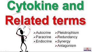 Cytokines and related terms [upl. by Cutlerr713]