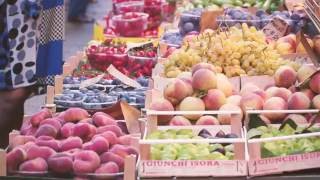 Food amp Walking Tour Bologna  Amazing Italy Travel [upl. by Ennovahc]