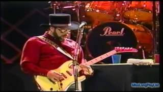 Hank Williams Jr Double Eagle Tour Sweet Home Alabama [upl. by Eri]