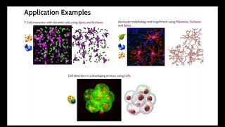 Lesson 6  Which data analysis model is best for my image [upl. by Alsi502]