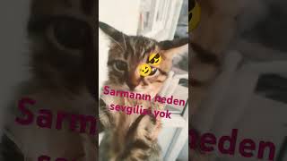 Sarmanın neden sevgilisi yok [upl. by Adrien429]