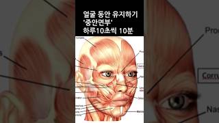 얼굴 동안 만들기 중안면부 하루10초씩 10분 [upl. by Dalli]