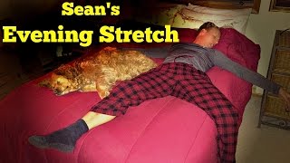 20 Minute Bedtime Yoga Stretch  Sean Vigue [upl. by Llertnac288]