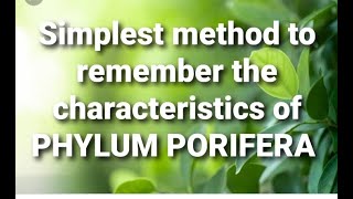 SIMPLEST METHOD TO REMEMBER THE CHARACTERISTICS OF PHYLUM PORIFERA [upl. by Ashjian782]