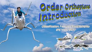 Insect Orders Part 3 Orthoptera A Introduction  By Dr Imran Khatri [upl. by Aimee]