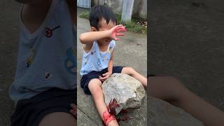 The boy was saved from being crushed by a rock by the dogLovedog dog pet [upl. by Nadab215]