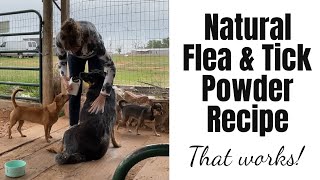 DIY Natural Flea Powder Recipe for Dogs and Cats with Diatomaceous Earth Herbal Blend [upl. by Pyne]