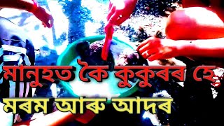 মানুহত কৈ কুকুৰৰ হে মৰম আৰু আদৰ II Assamese vlog funny video vlogs funny assam [upl. by Neirbo]