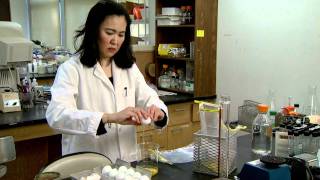 Rapid Salmonella Test University of Missouri [upl. by Naux]