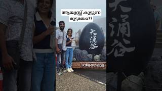 Owakudani Volcanic Valley  Black Eggs in Owakudani  Japan Vlogs [upl. by Arahset]