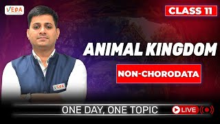 Nonchordata I  Animal Kingdom  class 11  Biology  One Day One Topic [upl. by Eerej]