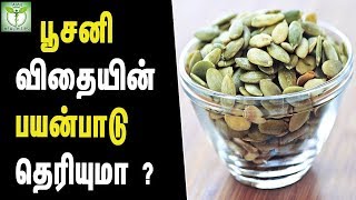 pumpkin seeds health benefits  Tamil Health Tips [upl. by Rhyne751]