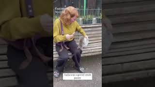 Audacious Squirrel Steals Womans Pastry [upl. by Goat]