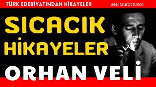 Orhan Veli quotÜç Güzel Hikayequot Sesli Kitap  Türk Edebiyatı [upl. by Trauner]