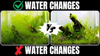 I Tested NO WATER CHANGES And Heres What Happened [upl. by Suoicerp583]