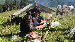 Boar Feast Cooking In Rural Village Camping With Shepherds [upl. by Milford]