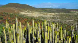 Montañas de Ifara y Los Riscos Granadilla de Abona [upl. by Bovill]