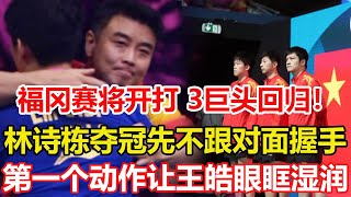 WTT福岡總決賽倒計時8天！國乒3巨頭回歸賽場。林詩棟奪冠拒絕慶祝！先不跟對面握手，第一個動作讓王皓眼眶濕潤。林詩棟排名分超6000，新積分體系男單第3人。乒乓球 tabletennis [upl. by Armstrong]