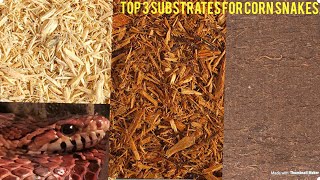 Top 3 Best Substrates for Corn Snakes [upl. by Alberto]