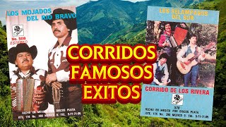 Los Pumas De Reynosa Los Mojados Del Rio Bravo  15 Exitos Canciones y Corridos Norteños [upl. by Ecirtak]