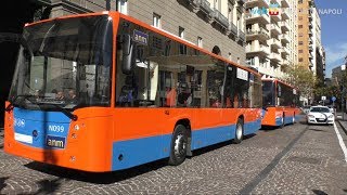 ANM 56 nuovi autobus ecco i primi 10 [upl. by Calysta]