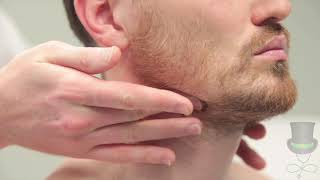 Examination of the lymph nodes of the head and neck [upl. by Service]