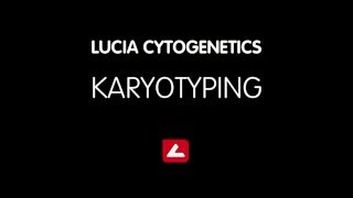 Karyotyping with Lucia Cytogenetics [upl. by Lillywhite269]