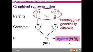 HKDSE Biology  Basic Genetics  Part 2 [upl. by Aydni]