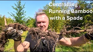 Controlling Running Bamboo [upl. by Britt]