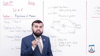 Class 9  Biology Chapter 5  Lecture 8  Meiosis significance amp its differences  Allied Schools [upl. by Gery]