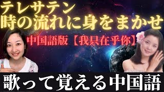 テレサテン「時の流れに身をまかせ」中国語版を日本語で解説！ [upl. by Valleau435]