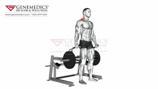 Lever Shrug plate loaded Back Exercise [upl. by Kunz]