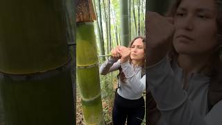 How to take water from bamboo💧 telugu facts interstingfactsintelugu [upl. by Acirred]