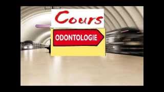 Cours dodontologie Science des dents ou comment devenir dentiste un métier de soin [upl. by Ihtak]