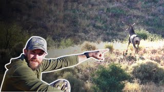 Chasing Arizona’s GIANT Muleys [upl. by Okorih106]