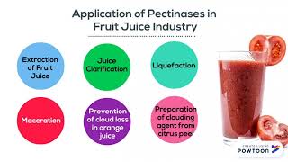 PutraMOOC  Pectinases in Beverage Industry [upl. by Griswold]