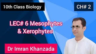 Matric 10th Class Biology CH 2 LEC 6 Mesophytes And Xerophytes [upl. by Secnarf]