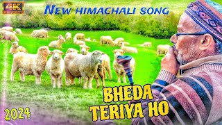 BHEDA TERIYA HO  LATEST HIMACHAL NEW PAHARI VIDEO SONG  OLD ONE NEELMA  2024 [upl. by Malarkey955]