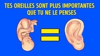 Ce Que Tes Oreilles Révèlent Sur Toi [upl. by Nuawd]