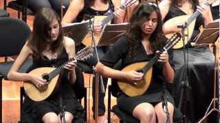 Concerto in G Major for Two Mandolins and Orchestra  Allegro  Antonio Vivaldi [upl. by Aeslahc]