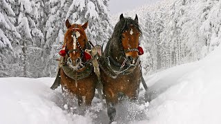 Celtic Christmas Carols Soft Holiday Christmas Music quotWinter Sleigh Ridequot Open Road Folk Music [upl. by Chaffee]