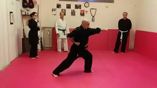 MAESTRO RAFFAELE BERNABEI TONG BEI QUAN PRIMA PARTE BUDOKAN AREZZO ARTI MARZIALI KENPO amp KRAV MAGA [upl. by Seuqcaj257]