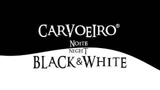 Carvoeiro Black amp White 2024 [upl. by Eiknarf873]